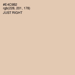 #E4C9B2 - Just Right Color Image